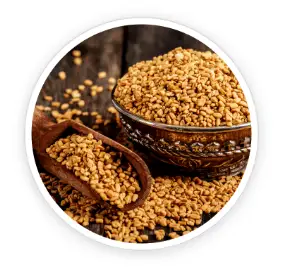 Fenugreek
