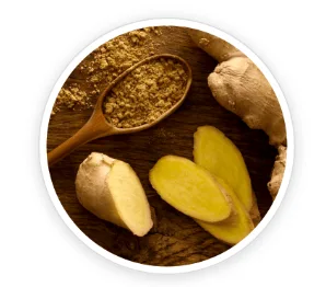 Organic Ceylon Ginger